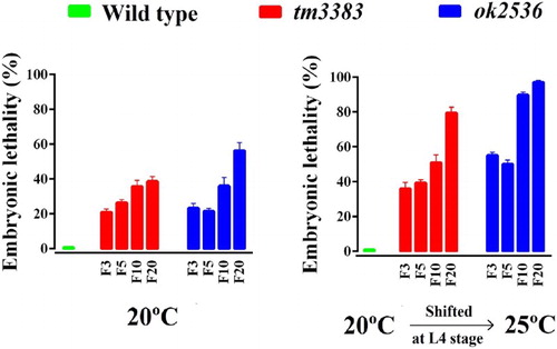 Figure 4. The embryonic lethality of the vig-1 mutants increases over generations. Worms were cultured at 20°C for various generations, and single L4 hermaphrodites at the indicated generation were transferred to individual plates and allowed to lay eggs at either 20°C (left panel) or 25°C (right panel). The embryonic lethality (%) was determined as described in the Materials and methods. Error bars indicate SEM (n = 10).