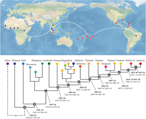 Fig. 1 Illustrative phylogenetic tree of ZIKV evolution and dispersal in the Asian region.Coloured circles on the terminal nodes represent the country of infection on the map. White lines indicate the main routes of spread. Letters within the gray circles (A–M4) refer to diversification events throughout the period of ZIKV evolution in Asia and the Pacific islands, which correspond to the dates of divergence (in bold) and highest posterior density for each tMRCA. A comprehensive tree is provided in the Supplementary Materials (Suppl. fig. S5)