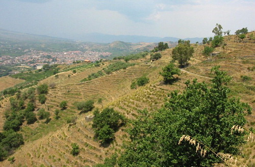 Figure 2. Terraced slopes along the Alcantara valley (northern slopes of Etna volcano).
