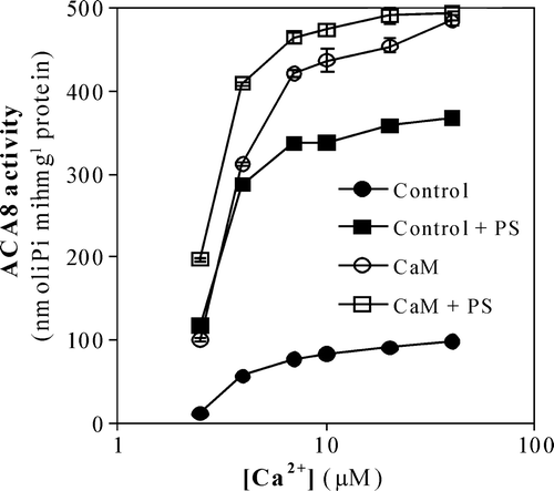 Figure 2.  Effect of PS on ACA8 hydrolytic activity as a function of free Ca2 +  concentration. Assays were performed on ER enriched fraction from S. cerevisiae expressing ACA8 in the presence (squares) or absence (circles) of 600 µM PS and in the presence (open symbols) or absence (closed symbols) of 1 µM CaM. Free Ca2 +  concentration was buffered at 2.5–40 µM with 1 mM EGTA. Results (±SE, n=3) are from one experiment representative of three.