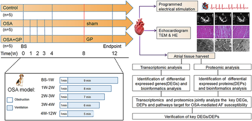 Figure 1 Flowchart summarizing overall bioinformatics analyses performed in this study.
