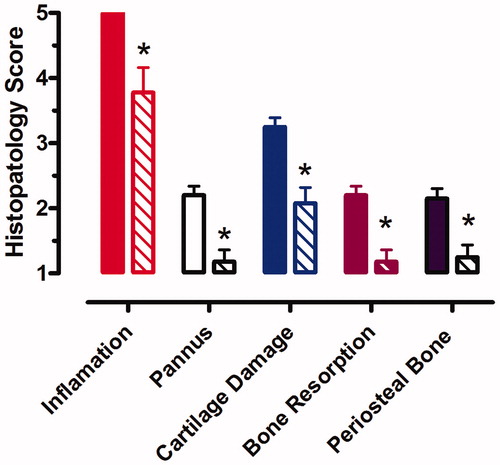 Figure 2. Effects of NEM on individual ankle histopathology scores. Collagen arthritic ankles were given scores of 0–5 for inflammation, pannus formation, cartilage damage, bone resorption, and periosteal new bone formation according to the criteria indicated in Supplementary Information. Vehicle control, solid bars; NEM-8011510, hatched bars. Asterisks indicate statistical significance, defined as p < 0.05 vs arthritis vehicle.