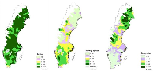 Figure 4. Spatial distribution of species used in the regeneration of Swedish forests. The map shows the proportion of total conifer and both Norway spruce and Scots pine used in different regions of Sweden in regeneration. The different colour of the scale shows different proportion of species, for example dark green represents 81-100% of species used in regeneration.
