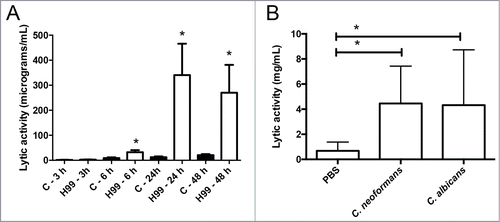 Figure 1. Effect of C. neoformans on the antimicrobial activity of the G. mellonella hemolymph. (A) Groups of 10 G. mellonella were infected with C. neoformans H99 strain (106 cells/G. mellonella) or with PBS (C), and then they were incubated at 37°C. The lytic activity of the hemolymph was evaluated as described in Material and Methods after different timepoints. Asterisks denote statistical difference between the sample and the corresponding control G. mellonella larvae treated with PBS. (B) G. mellonella larvae were infected with C. neoformans H99 or C. albicans SC5314 strain (105 cells per G. mellonella) and incubated at 37°C overnight. Then, the lytic of the hemolymph was evaluated. Asterisks denote statistical difference between the sample and the control G. mellonella treated with PBS.