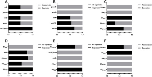 Figure 2 Expression of resistance genes in ESKAPE pathogens. (A) Expression of resistance genes in E. faecalis; (B) Expression of resistance genes in S. aureus; (C) Expression of resistance genes in K. pneumoniae; (D) Expression of resistance genes in A. baumannii; (E) Expression of resistance genes in P. aeruginosa; (F) Expression of resistance genes in Enterobacter spp.