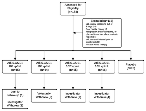 Figure 2. CONSORT Flow Diagram of Study Participants. In total, 62/72 subjects completed all vaccinations and follow-up visits. Reasons for voluntary withdrawal include loss to follow-up, concern about risks and study procedures, and insufficient time to complete study visits. Reasons for investigator withdrawal include non-compliance due to participation in another trial (1), dosing error (1), and adverse reactions to vaccine (4). Adverse events leading to withdrawal occurred exclusively in the Ad35.CS.01 1011 vp/mL dosage group.