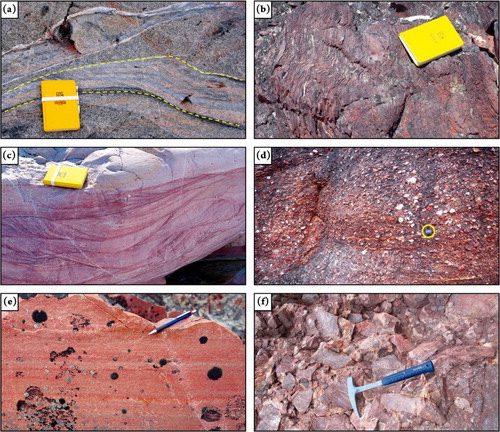 Figure 2. Field aspects of the Archean Slave Province and the deposits of Sequences I–II. Field book, for scale, in (a–c) is approximately 20 cm long. (a) Syenogranite composing the granitoid bedrock of Kilohigok and Elu basins, with a minor shear band consisting of mylonitic gneiss (within dashed lines). (b) Highly deformed, pelitic meta-sediments, part of the Hope Bay greenstone belt. (c) Cross-bedded arkosic sandstone belonging to the Burnside River Formation, Sequence I. (d) Cross-bedded pebble-conglomerate composing the basal gravelly member of the Burnside River Formation. Lens cap (circled), for scale, is 5 cm across. (e) Mineralogically and texturally mature quartzarenite with frosted grains, part of the aeolian member of the Burnside River Formation. Pencil, for scale, is approximately 15 cm long. (f) Disorganized sedimentary breccia part of the Tinney Cove Formation, Sequence II. Note sandstone clasts derived the older Burnside River Formation. Hammer, for scale, is approximately 25 cm long.