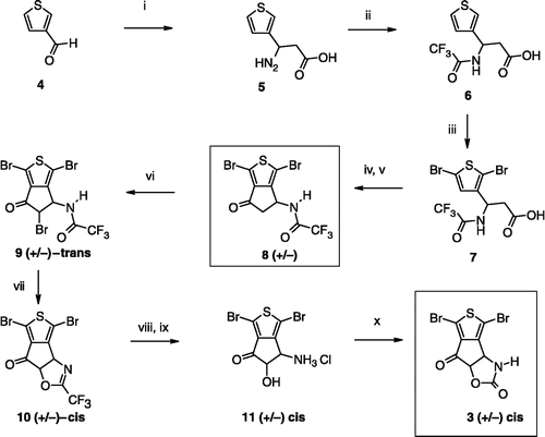 Scheme 1 Synthesis of compounds 3,8. Reagents: (i) AcONH4, (CH2)2CO2H, EtOH; (ii) TFA2O, Et2O; (iii) Br2, CH2Cl2; (iv) SOCl2; (v) AlCl3, CH2Cl2; (vi) Br2, AcOH; (vii) Na2CO3, Me2CO; (viii) HCl gas, Me2CO; (ix) ambient air; (x) (CCl3O)2CO, toluene.