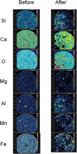 Figure 6 Electron probe micro-analyzer (EPMA) mapping images of decarburization slag fertilizer. Two-dimensional distribution images of silicon (Si), calcium (Ca), oxygen (O), magnesium (Mg), aluminum (Al), manganese (Mn) and iron (Fe) in the cross section of decarburization slag fertilizer before and after setting in paddy field for 75 d. Contents of each element are shown using colors from high content to low content: white, pink, red, yellow, light green, green, light blue, blue and black in turn.