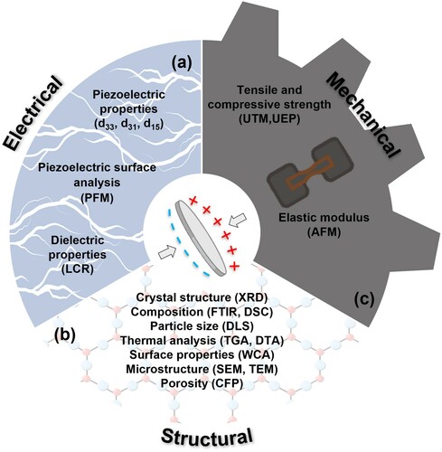 Figure 5. Summative schematic of (a) electrical and (b) structural and (c) mechanical characterisation of piezoelectric scaffold. dxy, piezoelectric coefficient (pC/N); PFM, piezoelectric force microscopy; LCR, inductance (L), capacitance (C), resistance (R) meter; XRD, X-ray powder diffraction; FTIR, Fourier-transform infrared spectroscopy; DSC, differential scanning calorimetry; DLS, dynamic light scattering; TGA, thermogravimetric analysis; DTA, differential thermal analysis; WCA, water contact angle; SEM, scanning electron microscopy; TEM, transmission electron microscopy; CFP, capillary flow porometery; UTM, universal testing machine; UEP, ultrasound echo pulse; AFM, atomic force microscopy.