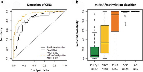 Figure 3. Performance of the combined miRNA/methylation classifier for the detection of cervical disease. (a) Results obtained from 77 hrHPV-positive scrapes from women without underlying disease (CIN0/1) and 55 scrapes from women with CIN3 were used to build a FAM19A4 methylation classifier [Citation4] and a combined miRNA/methylation classifier for the detection of CIN3. The diagonal line indicates an AUC of 0.5. There was no significant difference between the 3-miRNA classifier and FAM19A4 methylation analysis (DeLong: p = 0.591). The miRNA/methylation classifier performed significantly better than the 3-miRNA classifier (DeLong: p = 0.0003) and FAM19A4 methylation analysis (DeLong: p = 0.007). (b) Predicted probabilities (i.e. risk of CIN3; value range 0 to 1) obtained for all samples using the combined miRNA/methylation classifier.AUC, area under the curve; CIN, cervical intraepithelial neoplasia; SCC, squamous cell carcinoma; AC, adenocarcinoma.