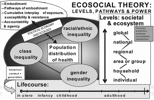 Figure 2. A heuristic diagram for guiding ecosocial analyses of disease distribution, population health, and health inequities, reproduced from Krieger [1Citation61, p. 224]  with permission from the American Public Health Association.