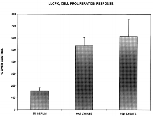 Figure 1. Effect of human RBC lysate on LLC-PK1 cell mitogenesis as assessed by 3H-thymidine incorporation. Each bar represents the mean ±SEM of 10 paired samples performed in triplicate relative to control values. All values (2% serum, 40 and 80 μl lysate) are significantly greater than control (P < 0.001), while the 40 and 80 μl RBC lysate samples are significantly greater than the 2% serum values (P < 0.01).