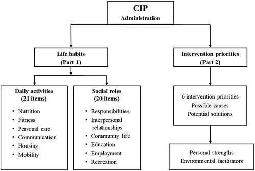 Figure 1. Flow diagram of the administration process of the CIP tool.