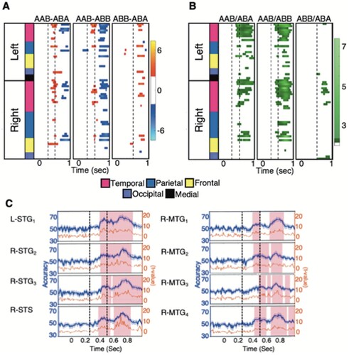 Figure 2. Time courses of pairwise activation contrasts and decoding accuracy between conditions with different reduplication patterns. (A) Activation differences (t-values) between the experimental conditions for all ROIs as a function of time. Dotted vertical lines indicate the onset time of a repeated syllable. The cortical lobes where the ROI resided are indicated by colours in the column at left; names of the ROIs can be found in Figure S2. (B) Pairwise decoding accuracy (t-values) between conditions. (C) Decoding accuracy (blue: %-correct; yellow: t-values) for the 8 ROIs that reliably supported decoding of reduplication contrasts, shown for the AAB versus ABB comparison. Shaded regions mark the results of cluster-based permutation test for statistically significant decoding accuracy across the subjects (p < 0.05).