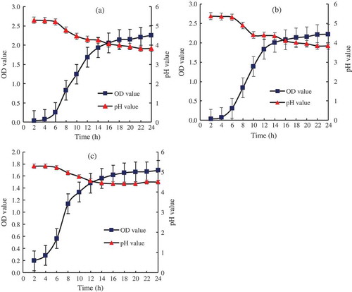 Figure 2. The growth and pH curve of predominant yeast species: (a) Issatchenkia orientalis; (b) Pichia kudriavzevii; (c) Candida xylopsoci. Expression values are the means ± standard deviations of data from at least two independent analyses of samples.Figura 2. El crecimiento y curva pH de las especies predominantes de levadura: (a) Issatchenkia orientalis; (b) Pichia kudriavzevii; (c) Candida xylopsoci. Los valores de expresión son promedios ± desviación estándar de los datos de al menos dos análisis independientes de las muestras.