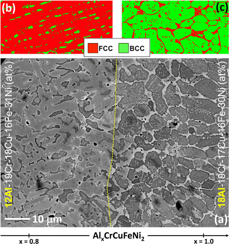 Figure 16. (a) Backscattered SEM image showing microstructural transition from x = 0.8 to x = 1.0 along compositionally graded LENS-deposited AlxCrCuFeNi2. EBSD phase maps showing fcc (red) and bcc (green) distribution in (b) x = 0.8 and (c) x = 1.0 [Citation76].