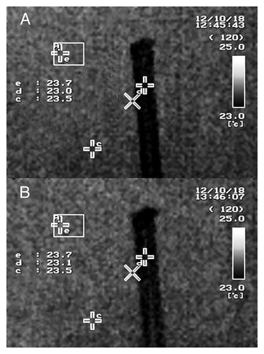 Figure 4. Thermal images indicating the temperature of a vinyl tube filled with distilled water. (A) Image taken before exposure to 2-GHz radio-frequency electromagnetic radiation (EMR), (B) image taken of the same tube on completion of 1 h continuous EMR exposure. Within each image, the letter “b” indicates the measuring point on the plant canopy, and the letter “e” indicates the temperature measurement position on a 5-mm-thick rigifoam sheet.