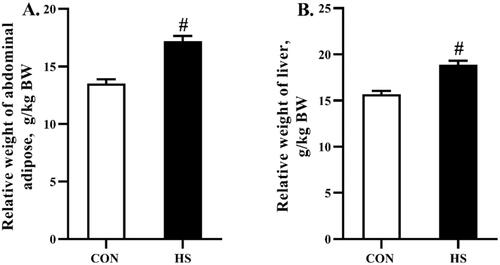 Figure 2. Effects of heat stress exposure on the relative weight of abdominal adipose and liver of broilers. CON, control group; HS, heat stress exposure. The pound key (#) indicated significant difference (P < 0.05).