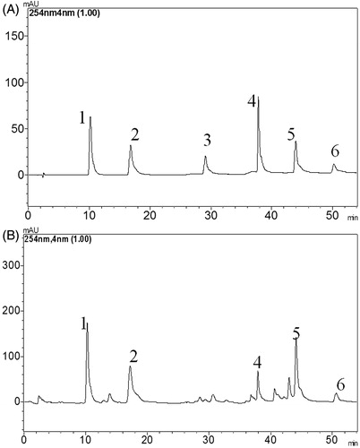 Figure 1. Typical HPLC chromatographic profiles of six standards (A) and SFE (B). HPLC peaks: 1, schisandrol A; 2, schisandrol B; 3, schisantherin A; 4, schisandrin A; 5, schisandrin B; 6, schisandrin C.