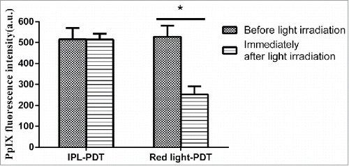 Figure 2. Protoporphyrin IX (PpIX) fluorescence intensity before and immediately after light irradiation at the acne lesions on both sides of face. The fluorescence intensity was significantly decreased after red light irradiation (* P < 0.05).