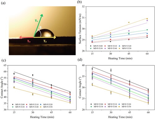 Figure 2. (a) Schematic of the contact angle measurement of MP samples. The effects of thermal oxidation treatment duration on the critical surface tension of MP (b) and the contact angles of (c) DW and (d) EG.