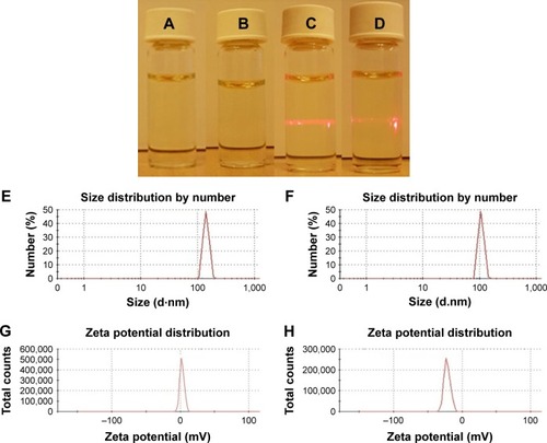 Figure 5 Faraday-Tyndall effect, size, and zeta potential of ATIQCTPC in ultrapure water of pH 2.0 and pH 7.0.Notes: (A) ATIQCTPC in ultrapure water of pH 2.0 (10−7 M) without 650 nm laser radiation. (B) ATIQCTPC in ultrapure water of pH 7.0 (10−7 M) without 650 nm laser radiation. (C) ATIQCTPC in ultrapure water of pH 2.0 (10−7 M) with 650 nm laser radiation. (D) ATIQCTPC in ultrapure water of pH 7.0 (10−7 M) with 650 nm laser radiation. (E) Size distribution of ATIQCTPC in ultrapure water of pH 2.0 (10−7 M). (F) Size distribution of ATIQCTPC in ultrapure water of pH 7.0 (10−7 M). (G) Zeta potential of ATIQCTPC in ultrapure water of pH 2.0 (10−7 M). (H) Zeta potential of ATIQCTPC in ultrapure water of pH 7.0 (10−7 M).Abbreviation: ATIQCTPC, (6S)-3-acetyl-4-oxo-N-(2-(3,4,5,6-tetrahydroxytetrahydro-2H-pyran-2-carboxamido)ethyl)-4,6,7,12-tetrahydroindolo[2,3-a]quinolizine-6-carboxamide.