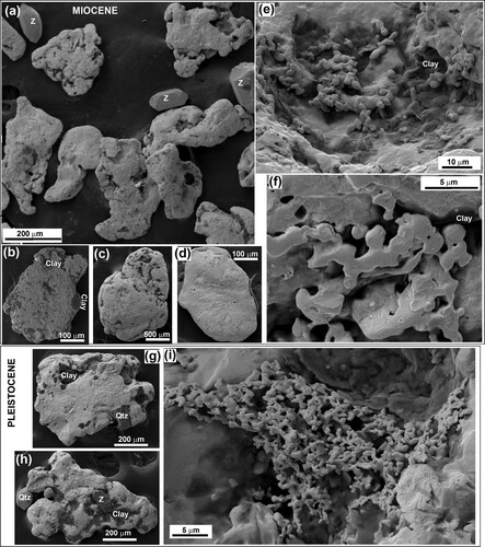Figure 8. Backscatter electron images of Garibaldi gold morphology. Z = zircon. A–F, Gold from basal Miocene QPC, recycled from Eocene Hogburn Formation. G–I, Gold from Pleistocene gravels, recycled from Miocene QPC.