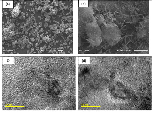 Figure 2. (a) and (b) are SEM images and (c) and (d) are TEM images of MgO.