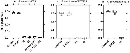 Figure 6. Biofilm formation by B. cereus 14579, E. carotovora CECT225 and K. pneumoniae 1373 under the effect of active molecules. A control containing DMSO was used to test the effect of the solvent. Each sample was performed in triplicates.