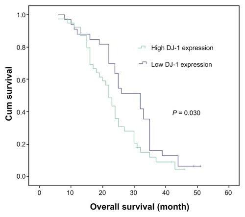 Figure 2 Kaplan–Meier survival curves performed according to DJ-1 expression in IHCC patients.