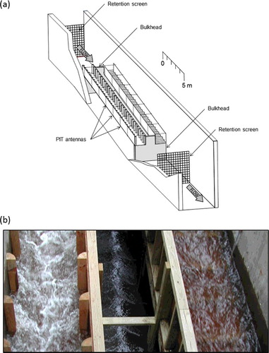 Figure 1. Schematic asymmetric view of the experimental stream channels where vertical and horizontal baffles are seen in the left and right channels, respectively.
