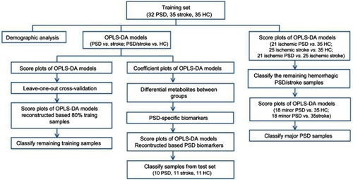 Figure S1 The overall flowchart of this metabonomic study.