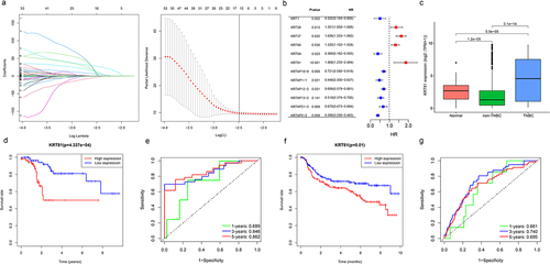 Figure 1. Identification of KRT81 as a valuable prognostic marker for TNBC. (a) Screening of optimal factors of the KRT family for prognosis prediction through LASSO Cox regression analysis. (b) Analyzing the HR value of the KRT-related prognostic genes by univariate Cox regression. (c) Comparison of the KRT81’s expression between the normal, non-TNBC, and TNBC samples. (d, e) the survival and ROC curves of KRT81 for predicting OS of TNBC in the TCGA cohort. (f, g) the survival and ROC curves of KRT81 for predicting OS of TNBC in the METABRIC cohort.