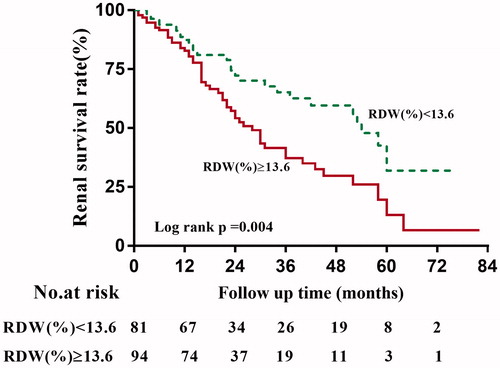 Figure 3. Kaplan–Meier curves of renal survival rates in patients with different levels of RDW.