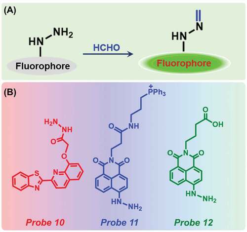 Figure 4. (a) Schematic representation of reaction between hydrazine-based probe with FA and (b) Different sensors for the detection of FA.