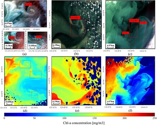 Figure 12. Comparison of results with Chl-a. (a–c) shows the detection results of eddies in SDGSAT-1, (d–f) GOCI2 Chl-a data.
