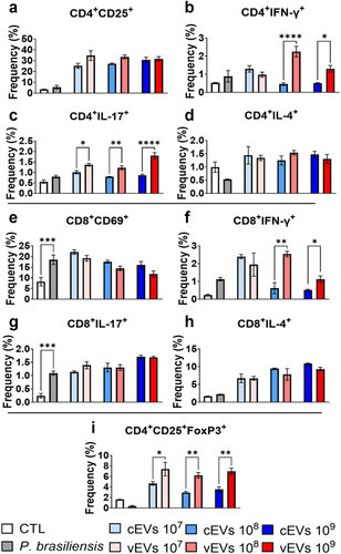 Figure 6. Dendritic cells primed with vEVs induce a higher frequency of Th1/Th17 cells compared to DCs primed with cEVs. Antigen-presenting cells obtained from the bone marrow of C57BL/6 mice, which were differentiated with GM-CSF (20 ng/mL), were challenged with different concentrations of P. brasiliensis control and virulent EVs (107, 108, and 109 EVs/mL) for 48 hours. The cells were then placed in co-culture with lymphocytes obtained from the spleen (1 DC/Macrophage : 10 lymphocytes) of naive mice for 5 days. The cells were then recovered and labelled with fluorochrome-conjugated antibodies. Flow cytometry using FACSLyric and FlowJo software was used to analyse the frequency of activated CD4+ lymphocytes (a), Th1 (b), Th2 (c), Th17 (d), activated CD8+ (e), Tc1 (f), Tc2 (g), Tc17 (h), and Treg (i) profiles. The bars represent means ± standard error of triplicates per group (*p < 0.05; **p < 0.01; ***p < 0.001; ****p < 0.0001). As a negative control (CTL), cells received only RPMI medium, while P. brasiliensis (2000 cells; 1 P. brasiliensis : 50 innate cells) was used as a positive control.