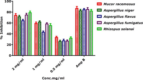 Figure 6. Antifungal activities of biogenically synthesized IONPs.