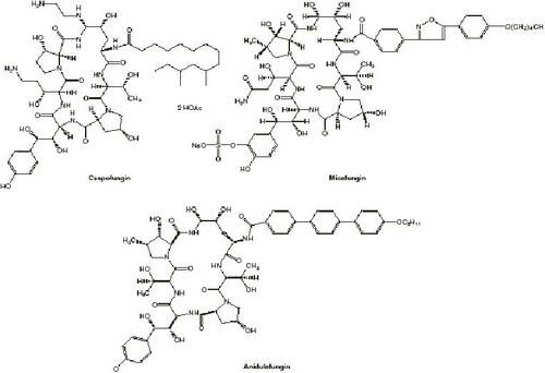 Figure 1 Structures of echinocandins. Copyright © 2004. Reproduced with permission from CitationBoucher HW, Groll AH, Chiou CC, et al. 2004. Newer systemic antifungal agents: pharmacokinetics, safety and efficacy. Drugs, 64:1997-2020.