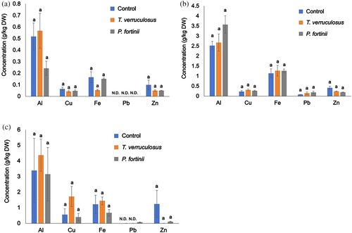 Figure 4. Concentrations of metals in M. sinensis seedlings after the inoculation test. (a) Concentrations in terrestrial parts, (b) concentrations in roots, and (c) concentrations in dead leaves. N.D. indicates the data were under the detection limit. The results are expressed as means ± SEs (g/kg, dry weight, n = 4). One-way ANOVA (Scheffé, p < 0.05). Cd concentrations of each plant tissue were not shown because of detection limit.