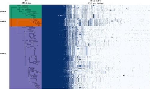 Figure 3. Pangenome analysis of C. upsaliensis genomes. Presence, blue; absence, white. Genomes were ordered based on a phylogenomic tree constructed by the core orthologous groups.