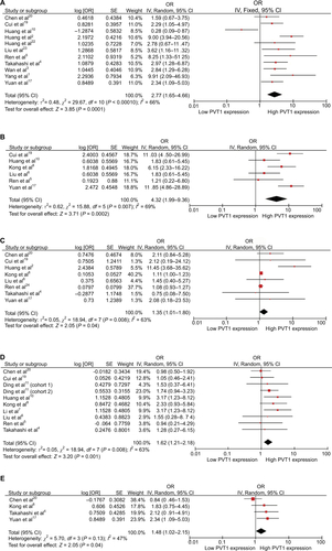 Figure S3 The pooled effect value of PVT1 on (A) LNM, (B) DOI, (C) DM, (D) DIF, and (E) LI.Abbreviations: DIF, differentiation; DM, distant metastasis; DOI, depth of invasive; IV, inverse variance methods; LI, lymphatic invasion; LNM, lymph node metastasis; SE, standard error.