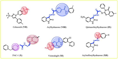 Figure 2. The reported anticancer agents bearing hydrazone, sulphonyl, and benzamide fragments.