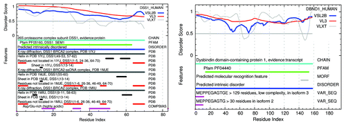 Figure 7. Structure-function maps of 2 100% PID whole proteins, each dominated by 1 Pfam domain, are shown above with Pfam sequences marked in green. Many similar examples exist where parts of these proteins have been crystallized, but in the presence of SDS or in co-crystals with partner molecules, illustrating the induced conformation nature of IDPs. X-ray crystal structure is marked in black. NMR solution structure is marked in gray. PF05160 DSS1 HUMAN has been co-crystallized in complexes: 1iyj,Citation37 1mje,Citation38 and 1miuCitation39). No pdb evidence of structure yet exists for PF04440 DBND1 HUMAN. These plots of PONDR prediction results are available on the Disprot site.Citation40