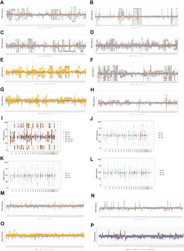 Figure 2 (A–L) A panel analysis of 543 cancer-related genes in blood and CSF in 12 patients with genomic instability. (M–O) A panel analysis of 543 cancer-related genes in blood and CSF in three patients with genomic stability. (P) A panel analysis of 543 cancer-related genes in blood and CSF in a brain parenchymal metastasis patient.