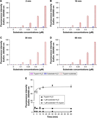 Figure 2 Fluorescence intensity of trypsin, substrate, and trypsin+substrate as a function of time and substrate concentration.Notes: Fluorogenic substrate, Boc-Gln-Ala-Arg-AMC, at different concentrations (0, 0.1, 0.25, 0.5, and 1 µm) was incubated with 1% trypsin in 96-well plates at different time points (2, 10, 30, and 60 min). (A–D) Different concentrations of substrate over different time points compared to only trypsin and substrate. (E) Highest concentration of substrate compared to substrate and trypsin only. Fluorescence signals were measured using plate reader at Ex/Em: 355/450 nm, where Ex and Em represents excitation and emission wavelengths. Control wells contained H2O+substrate and H2O+trypsin.