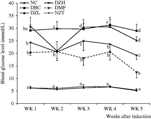 Figure 3. Weekly blood glucose concentrations (post induction) of different animal groups. Data are presented as the mean ± SD of eight animals. a–dValues with different letters for a given week are significantly different from each other (Tukey’s-HSD multiple range post hoc test, p < 0.05). NC: Normal Control; DBC: Diabetic Control; DZL: Diabetic Ziziphus mucronata low dose (150 mg/kg bw); DZH: Diabetic Ziziphus mucronata high dose (300 mg/kg bw); DMF: Diabetic metformin; NZT: Normal Ziziphus mucronata toxicological dose (300 mg/kg bw).