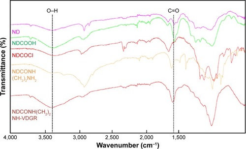 Figure 2 FT-IR spectra of ND, NDCO2H, NDCOCl, NDCONH(CH2)2NH2, and NDCONH(CH2)2NH-VDGR.Abbreviations: FT-IR, Fourier transform infrared; ND, nanodiamond.