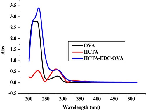 Figure 3. The UV spectra characterisation for HCTA, OVA, and HCTA-EDC-OVA